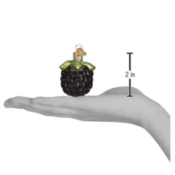 Shop Old World Christmas Blackberry Ornament -