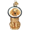Fashion Old World Christmas Cone Of Shame Dog Ornament -