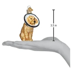 Fashion Old World Christmas Cone Of Shame Dog Ornament -