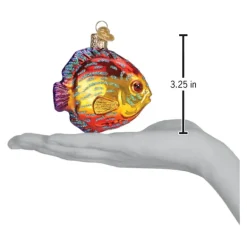 Cheap Discus Fish Ornament - Fish & Reptile