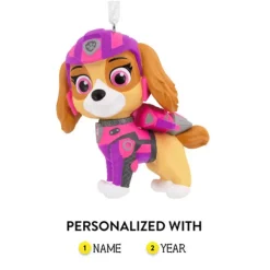 Discount Paw Patrol™ Skye Ornament Kids