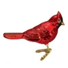 Hot Northern Cardinal Ornament - Garden, Birds & Insects