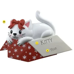 Fashion PolarX Personalized Cat In A Gift Box Ornament