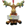 Online Rudolph & Me Personalized Christmas Moose With Lights Ornament