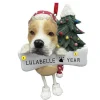 Clearance E & S Imports Personalized Pit Bull Dog Ornament