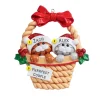 Clearance Rudolph & Me Personalized Two Cats In A Basket Ornament