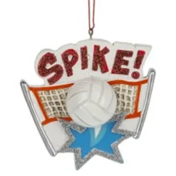 Hot Ganz Personalized Volleyball Ornament