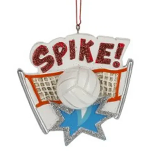 Hot Ganz Personalized Volleyball Ornament