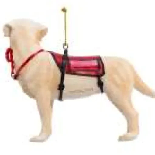 Cheap Kurt Adler Service Dog Ornament